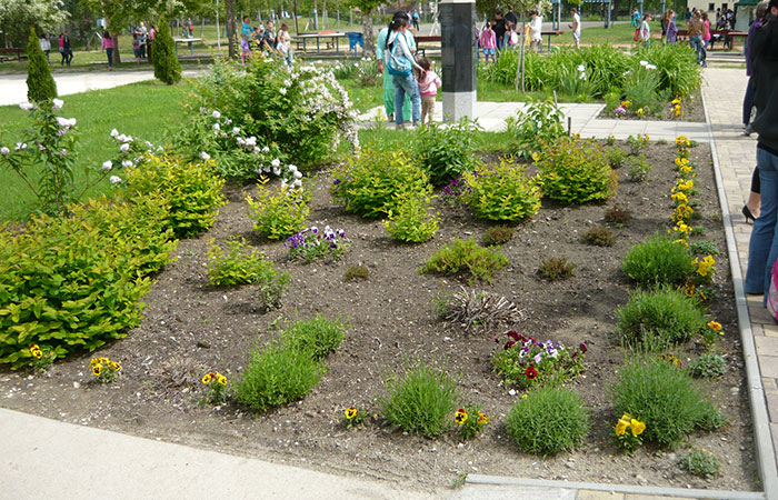 Kerttervezés, kerttervező kecskemét kép