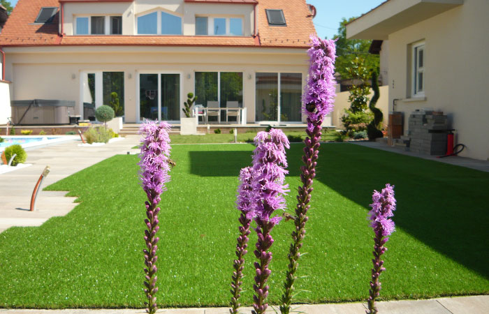 Kerttervezés, kerttervező kecskemét kép