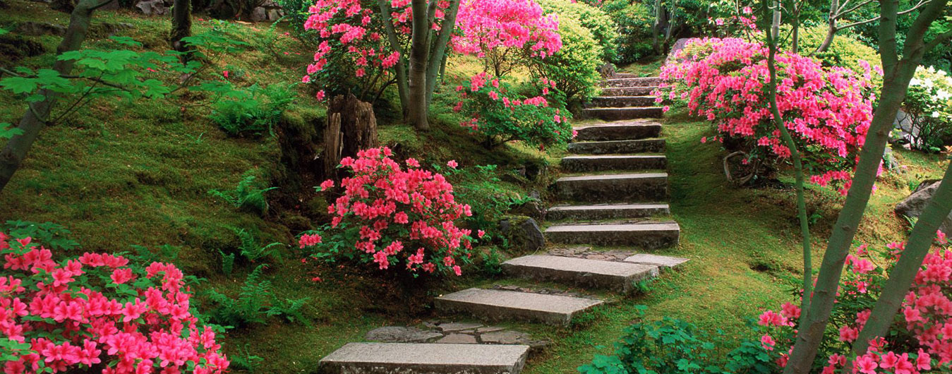 Kerttervezés, kerttervező kecskemét kép