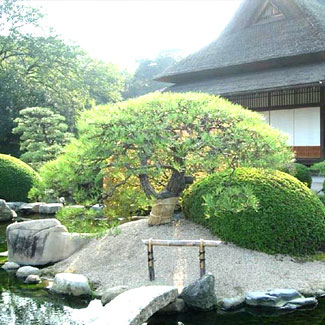 Kerttervezés, kerttervező kecskemét kép